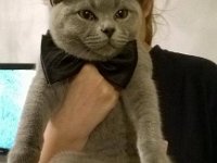 10290713 868254506533620 8784439935005871933 n  Emax