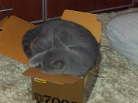 20130227 231139  Black Jack