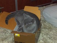 20130227 231200  Black Jack