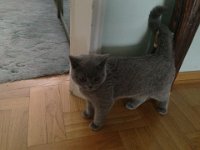 20130331 Molly u m  Bocja