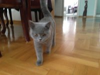 20130331 Molly  Bocja