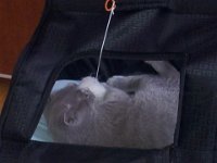 20130404 121930  Black Jack