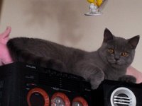 20130501 143027  Black Jack