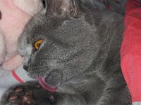 20130509 175125  Black Jack