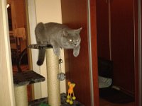 20130809 215424  Black Jack