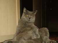 20130911 102349  Black Jack