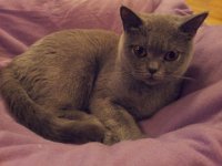 20140212 Tosia (1)  Bocja