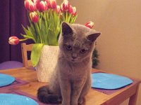 20140212 Tosia.  Bocja