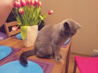 20140212 Tosia1  Bocja