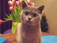 20140212 Tosiak nasz ukochany  Bocja