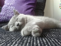 20140814 173314  Fidelix