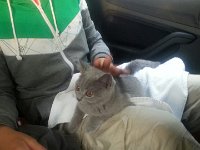 20140830 183916-1  Fiko