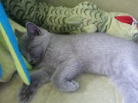 20140831 143016  Fiko