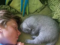 20140831 143734  Fiko