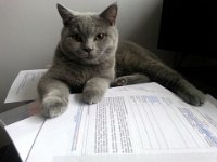 20141114 135706  Fiko