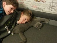 20141123 200007  Fiko