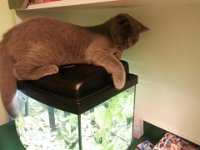 20141222 225423  Fiko