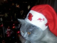 20141223 155225  Fiko