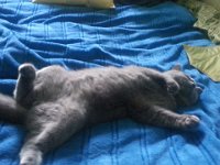 20150131 144840  Fiko