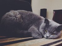 ND-inka5  Processed with VSCOcam with f2 preset