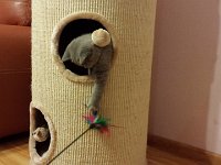 dla p. Marty 2  Gwiazdeczka