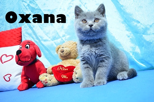 OXANA